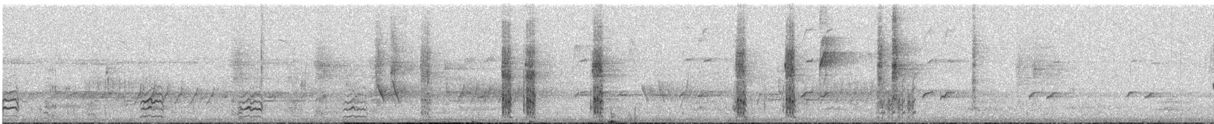 Perico Capelo - ML645697470