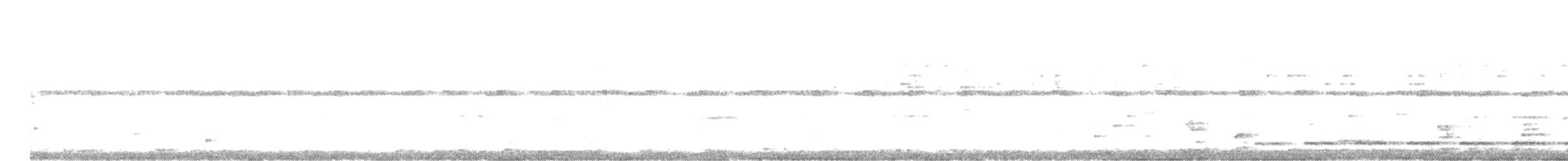 Mochuelo Caburé (Sudamericano) - ML645697494