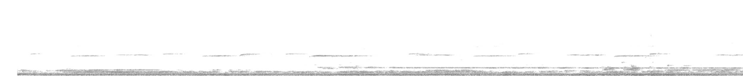 Mochuelo Caburé (Sudamericano) - ML645697496