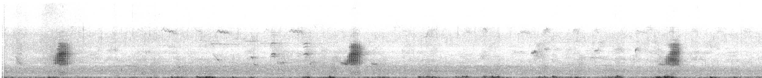 Lewin's Rail - ML645697565