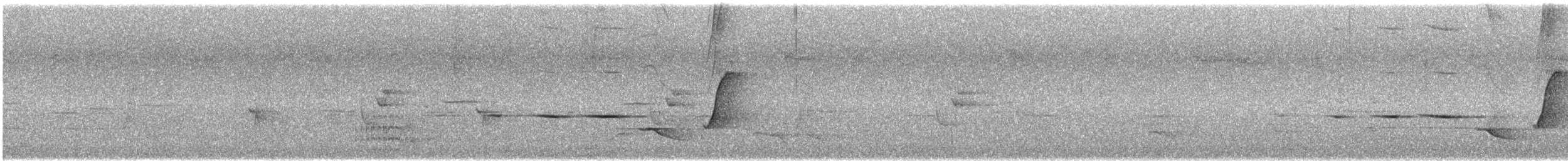 Golden Whistler (Western) - ML645697611