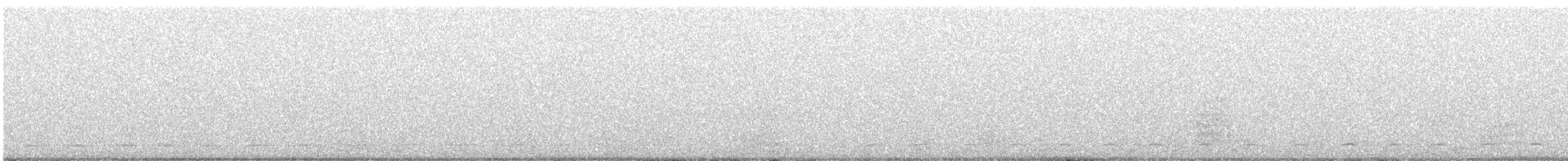 Northern Saw-whet Owl - ML645697688