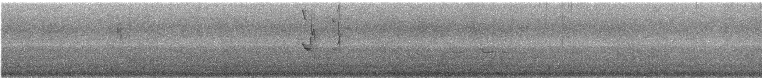 New Holland Honeyeater - ML645698077