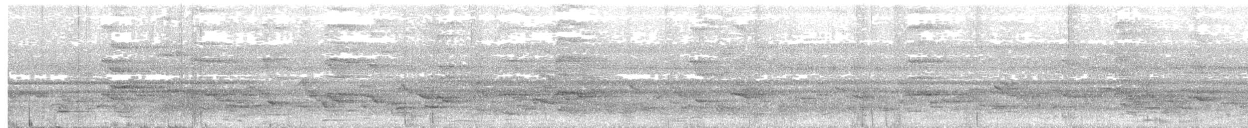 Splendid Starling - ML645698083