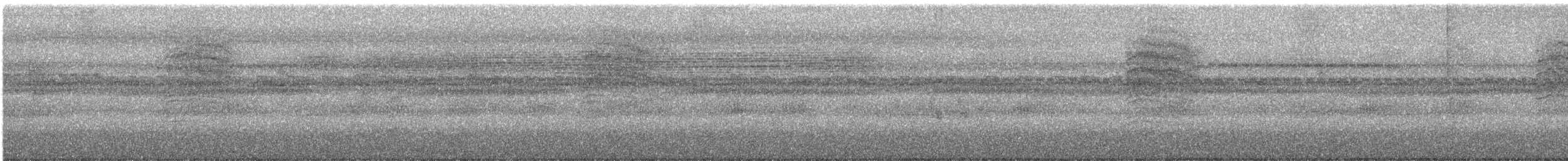 Комароловка сіра - ML645698404