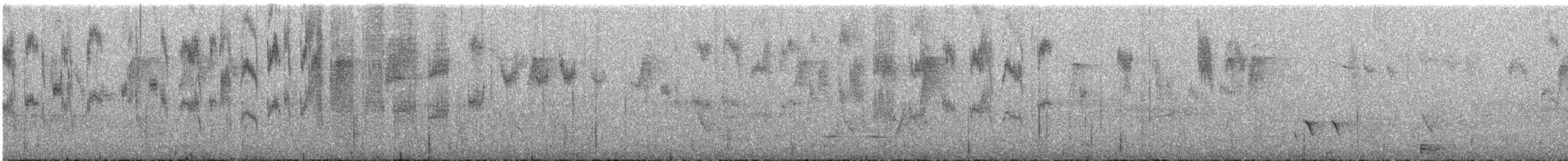 Red-winged Fairywren - ML645698463