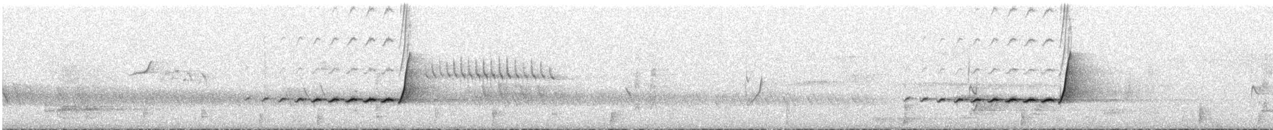 gullplystrer (fuliginosa/occidentalis) - ML645698598