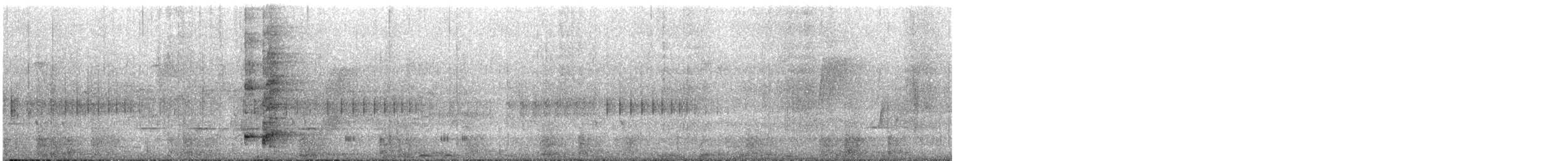 dryandrahonningeter - ML645698601