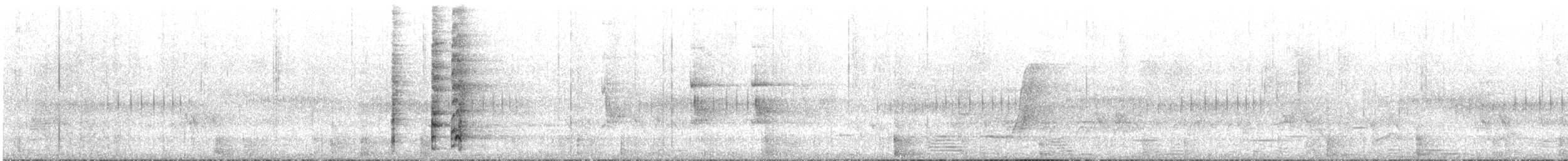 trikolorhonningeter - ML645698602