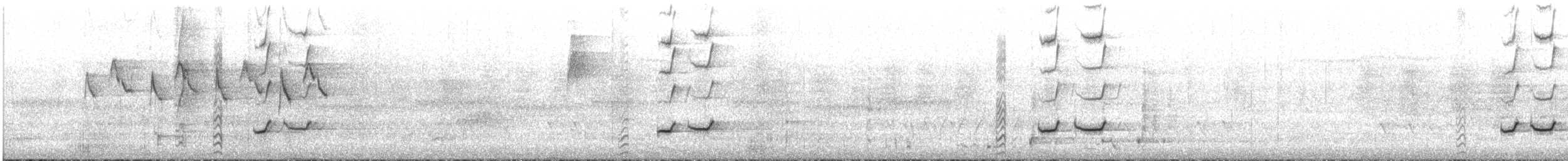 svarthodeparakitt - ML645698604