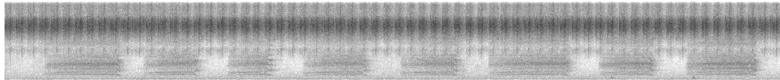 hvitkinnkakadu - ML645698605