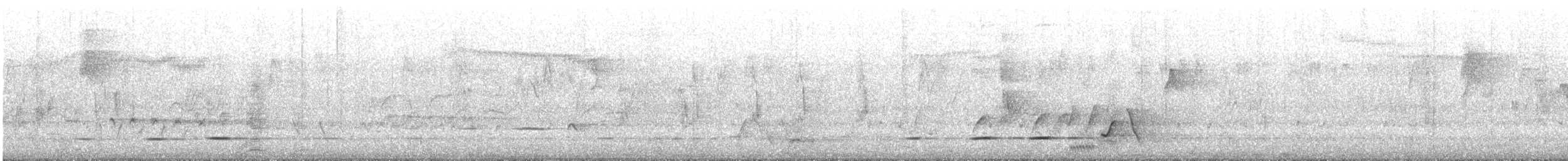 hvittøyleplystrer - ML645698609