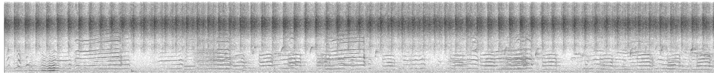 hvitkinnkakadu - ML645698617