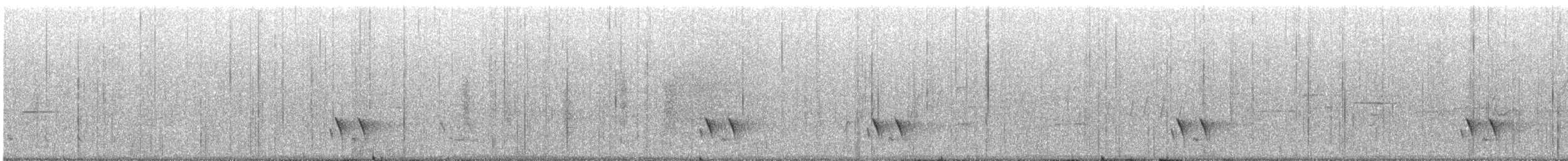 stripediamantfugl (substriatus) - ML645698620