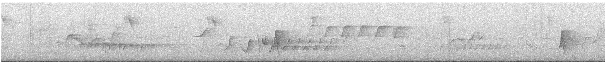 hvitbrystflueskvett - ML645698684