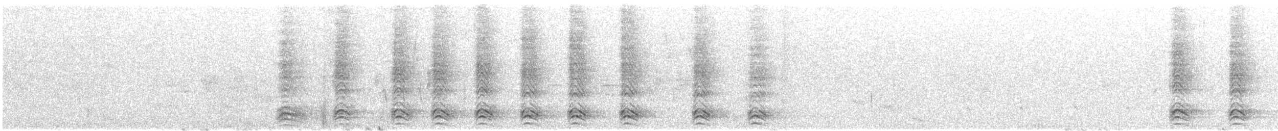 amerikakråke - ML645698686