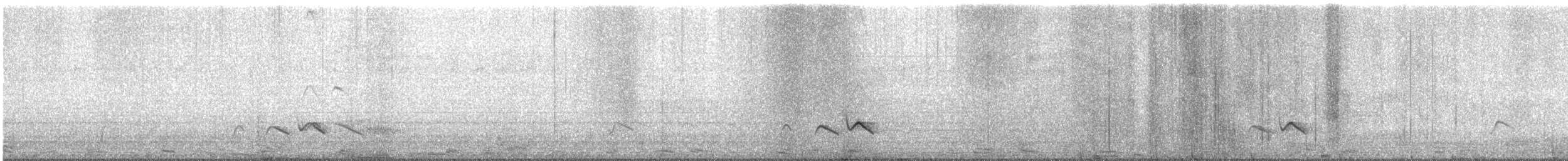 sichuanlattertrost - ML645698701