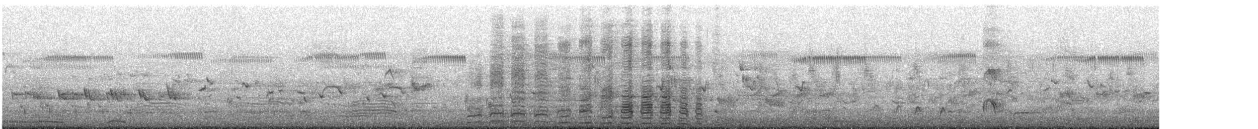 nomadeand - ML645698743