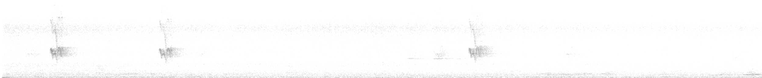 boerspurv - ML645698757