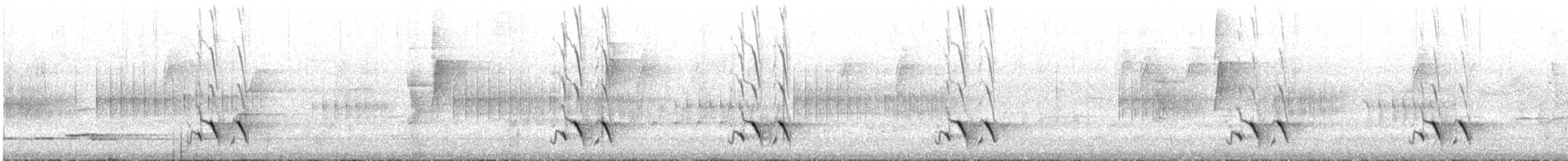 Pardalote Estriado (substriatus) - ML645698867