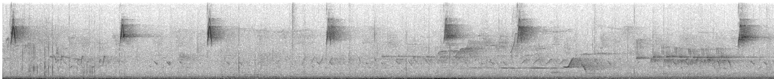 Picanzo Gris - ML645698869