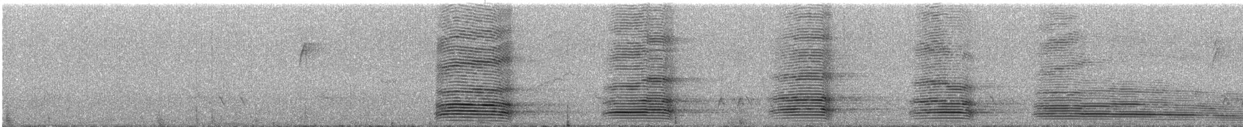 Avustralya Kuzgunu - ML645699025