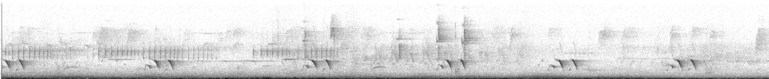 Çizgili Panterkuşu (substriatus) - ML645699031