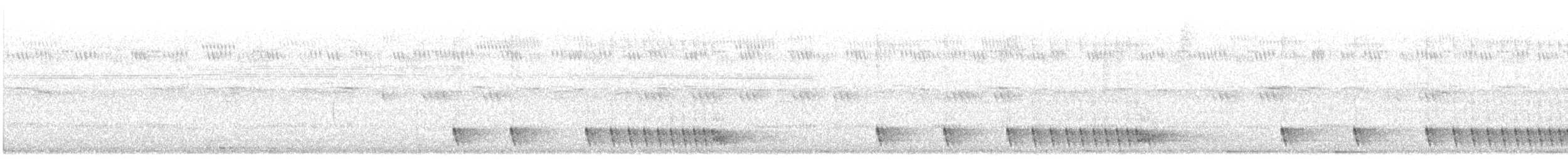 Chotacabras Hindú - ML645699093