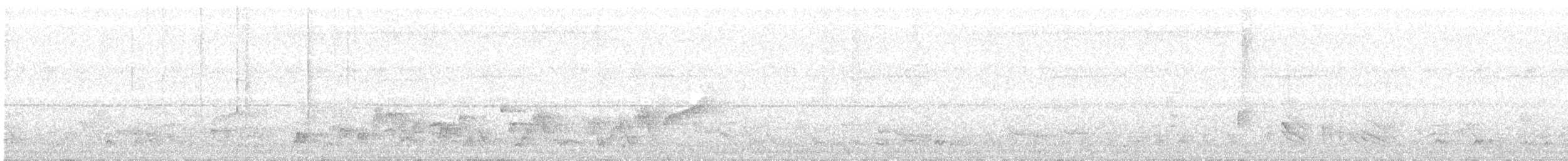 Pale-breasted Illadopsis - ML645699096