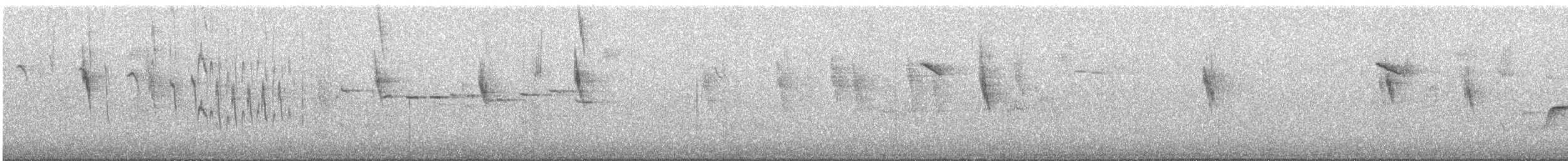 Red-winged Fairywren - ML645699113