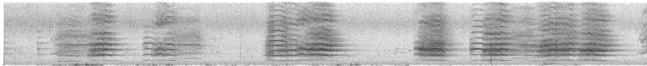 Red-tailed Black-Cockatoo - ML645699123