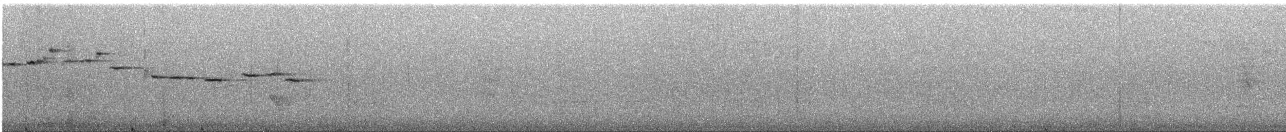 Gray Fantail (preissi) - ML645699125