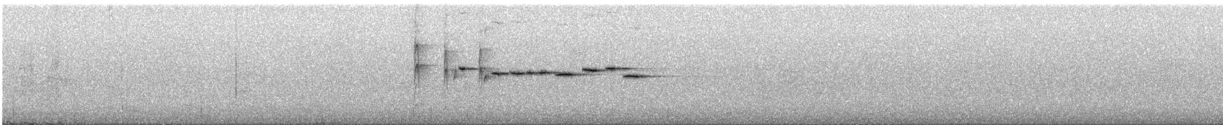 Gray Fantail (preissi) - ML645699126