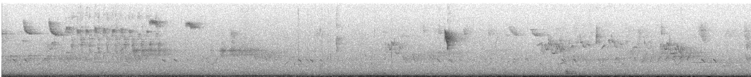 Red-winged Fairywren - ML645699168