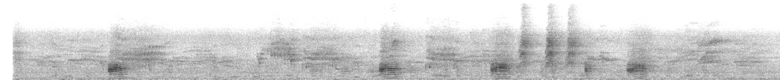 Australian Ibis - ML645699211