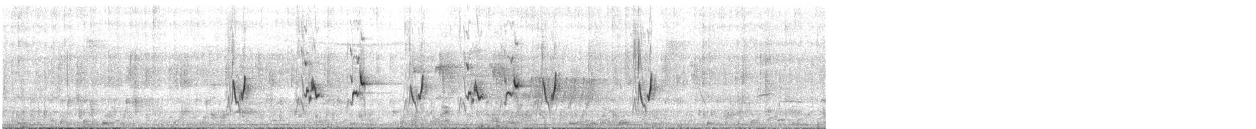 Western Spinebill - ML645699237