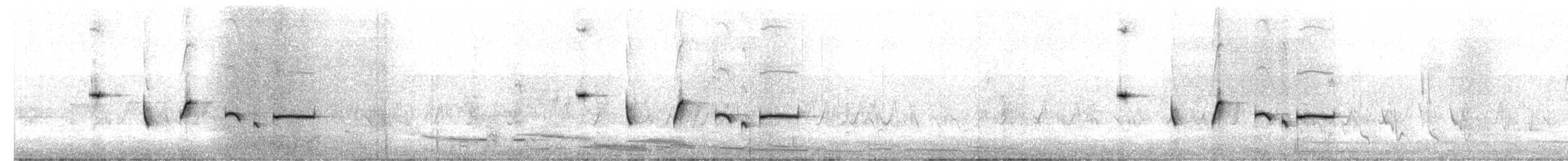 Western Bristlebird - ML645699240