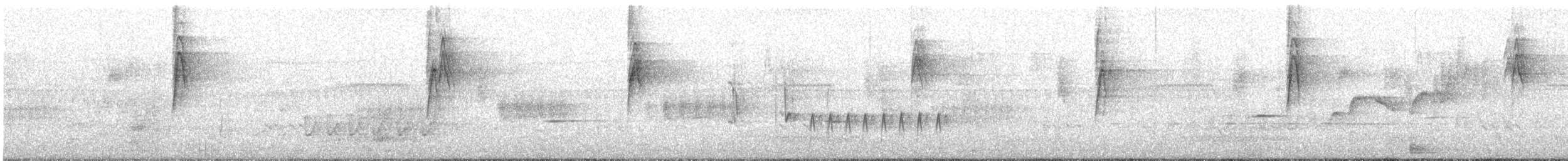 New Holland Honeyeater - ML645699292