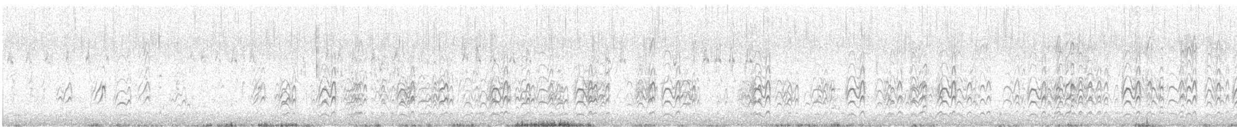 Txenadatxo australiarra - ML645699305