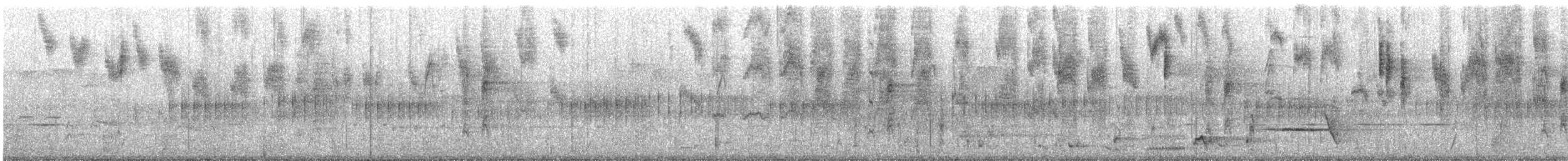 Red-winged Fairywren - ML645699318