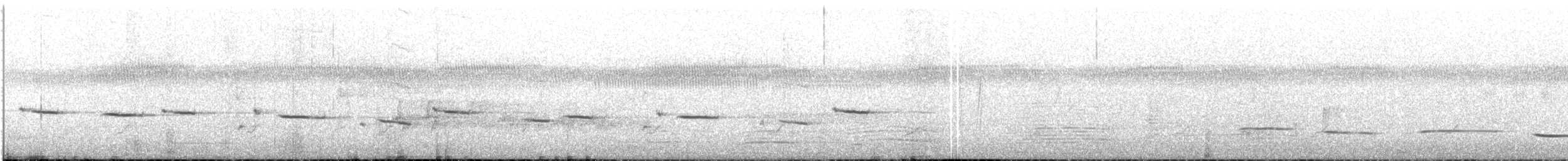 Western Gerygone - ML645699325