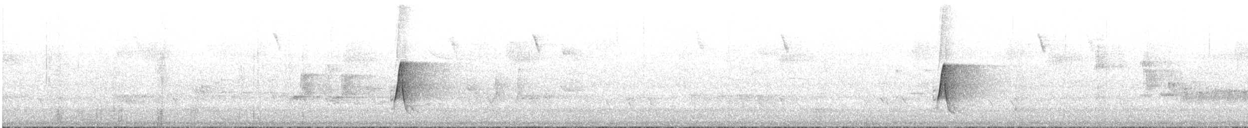 White-breasted Robin - ML645699332