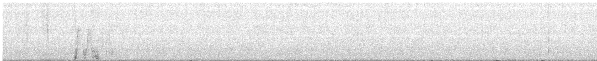 Western Ring-tailed Possum - ML645699333