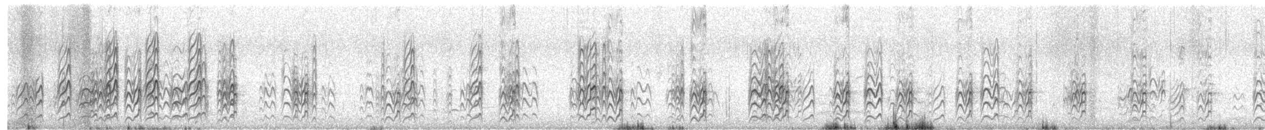 Australian Fairy Tern - ML645699452