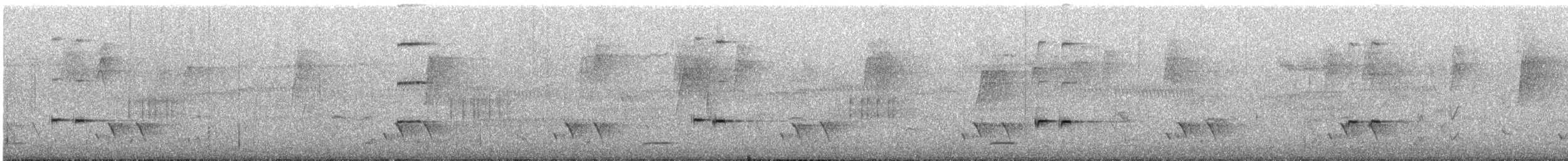 Western Rosella - ML645699479