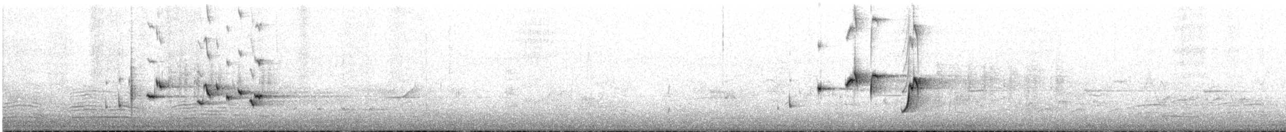 Willie-wagtail - ML645699571