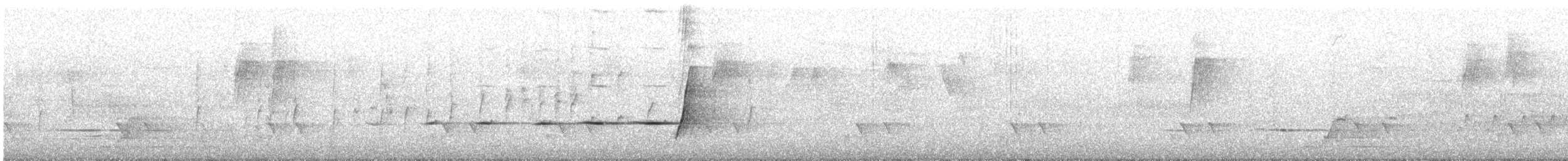 Golden Whistler (Western) - ML645699596