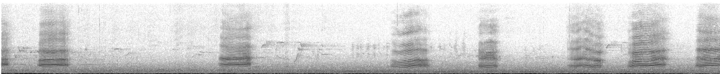 Australian Raven - ML645699597