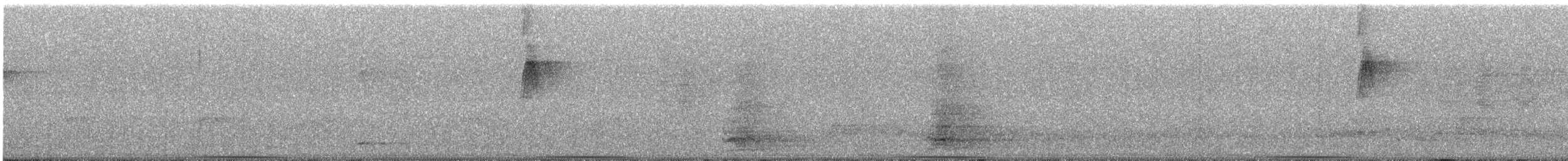 Common Bronzewing - ML645699928