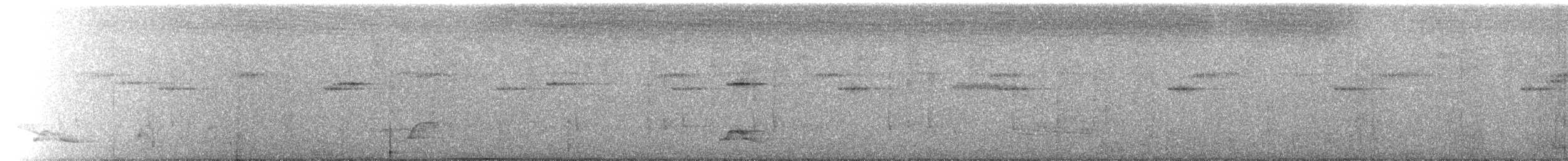 Long-tailed Manakin - ML645699945